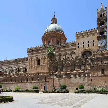 Centrocitta